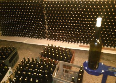 Wine Going to Bottles