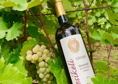 Sesikeli Bottle in Vineyard