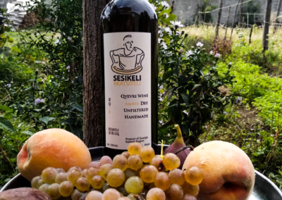 Sesikeli Rkatsiteli 2018 With Fruit at Vineyard