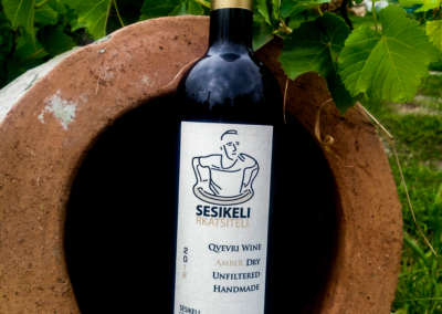 Sesikeli Rkatsiteli 2018 at Vineyard